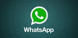 Whatsapp Tries Out New Member Tags: What This Feature Really Does 2 Whatsapp tries out new member tags