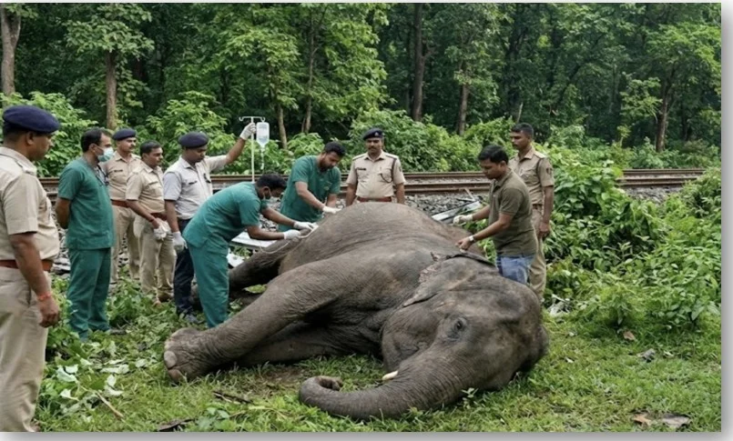 Assam train accident: rajdhani express