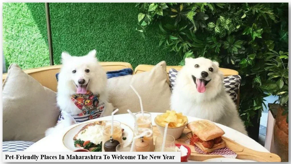 Pet-friendly places in maharashtra