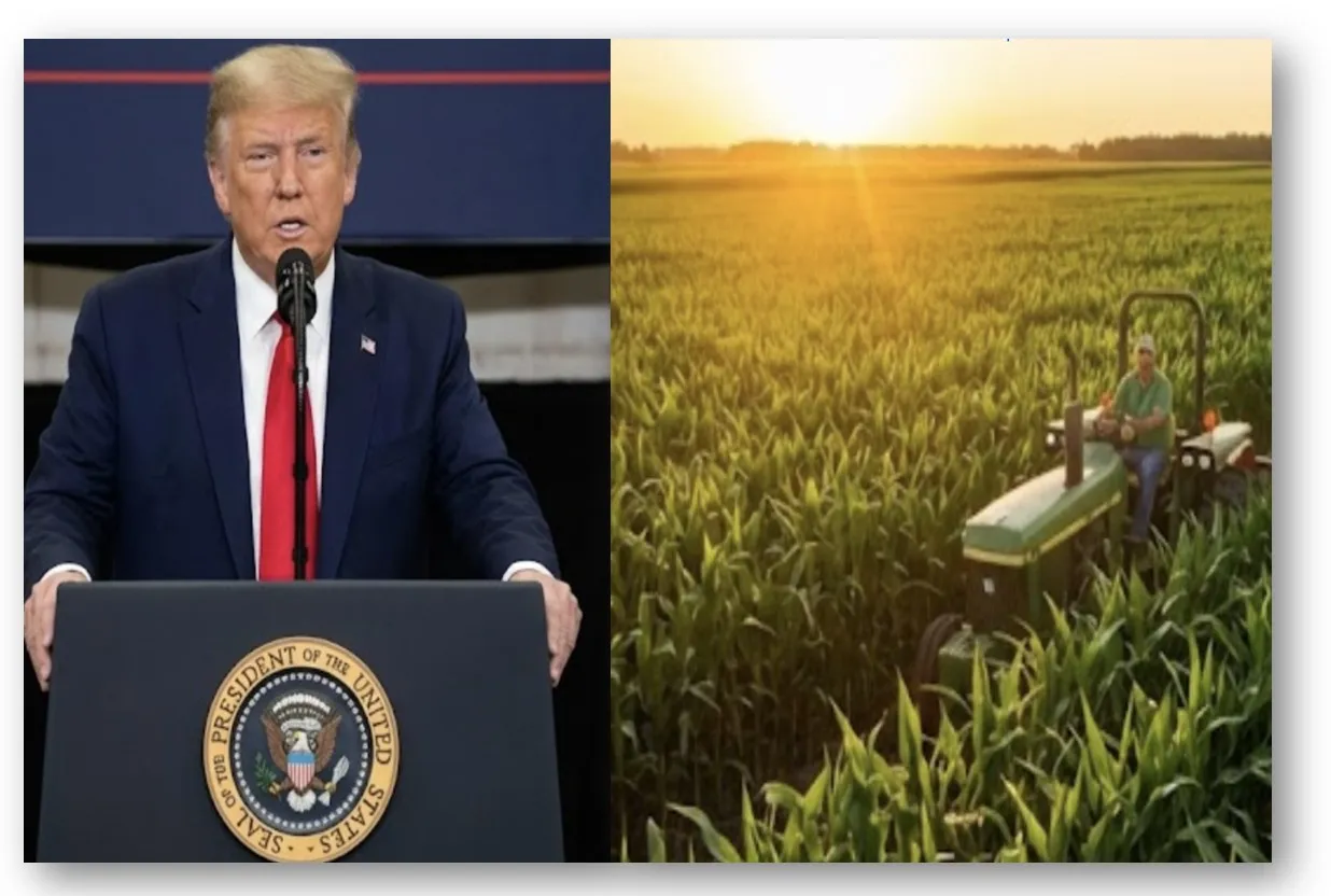 Trump unveils $12 billion aid package for farmers