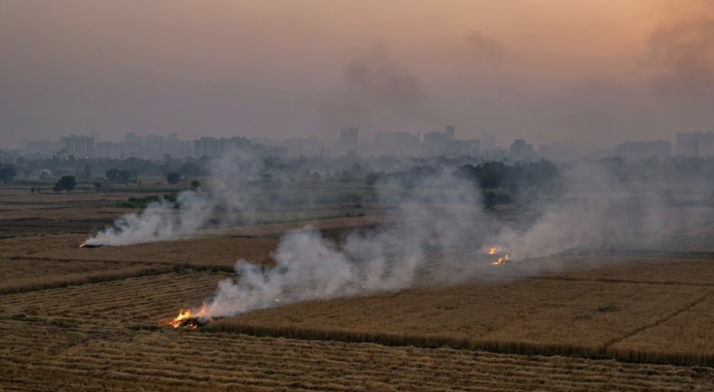 Farm fires for its pollution