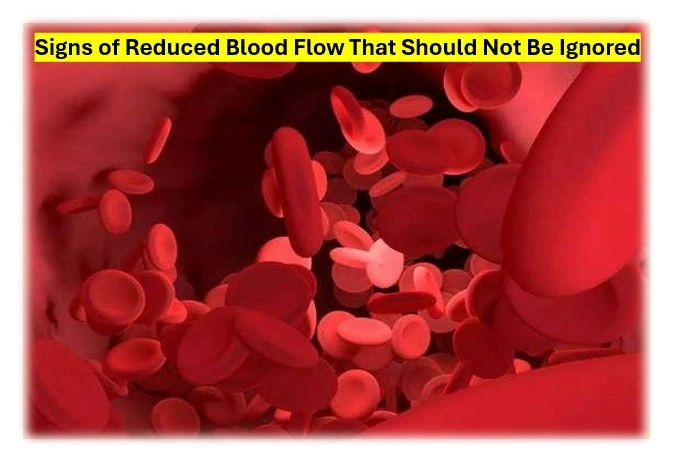 Six Physical Signs Of Reduced Blood Flow That Should Not Be Ignored 1 Blood flow
