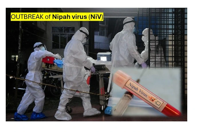 Health Experts Scramble To Contain Outbreak Of Deadly Nipah Virus 1 Nipah virus