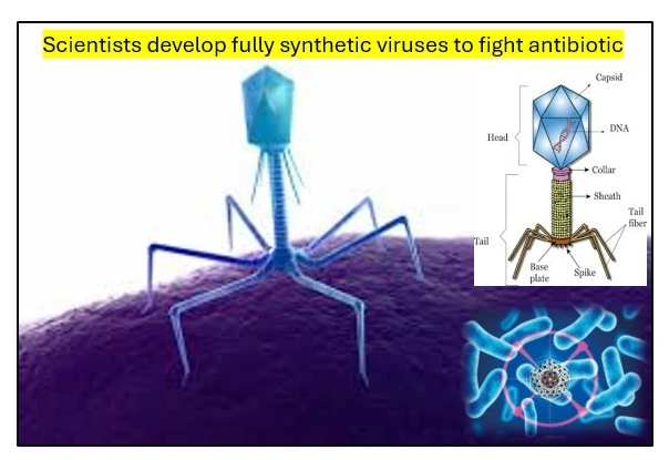 Antibiotic