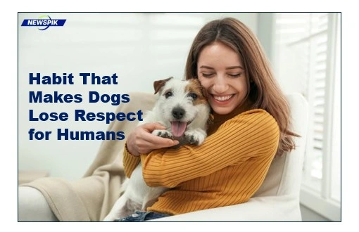 Dogs lose respect for humans