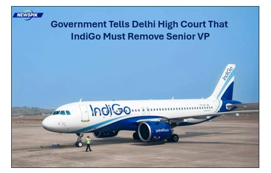 Indigo must remove senior vp