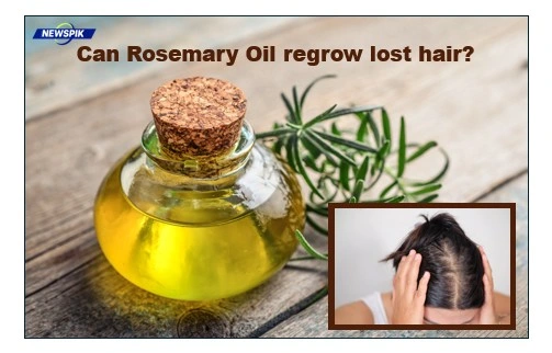 Can Rosemary Oil Regrow Lost Hair? 1 Rosemary oil