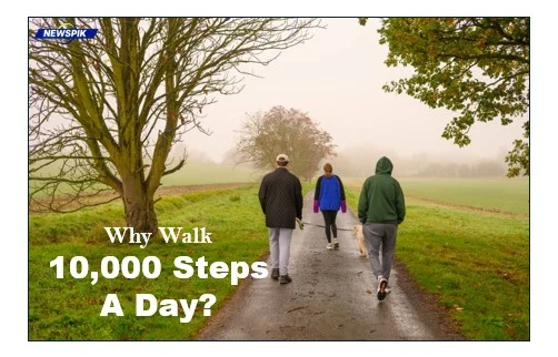 Walking 10000 steps daily