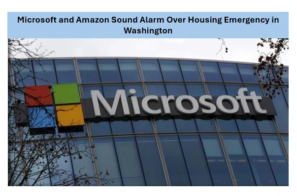 Microsoft and amazon
