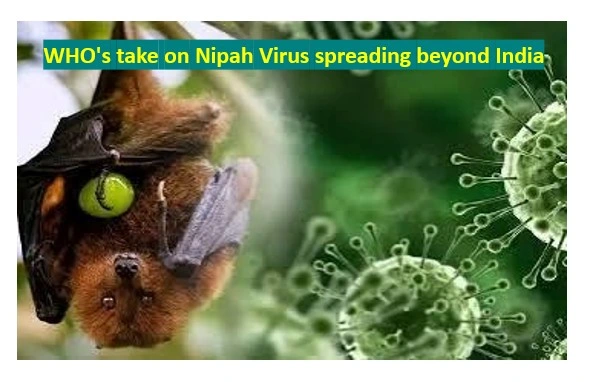 Who's take on nipah virus