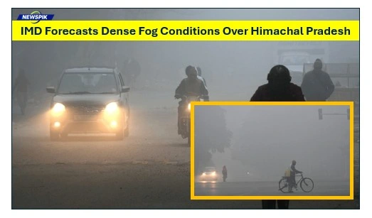 Imd forecasts dense fog