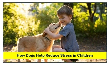 Dogs help reduce stress in children