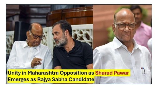 Sharad pawar & rahul gandhi