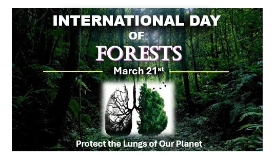 International day of forests