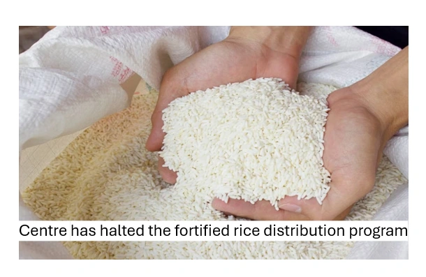 Rice