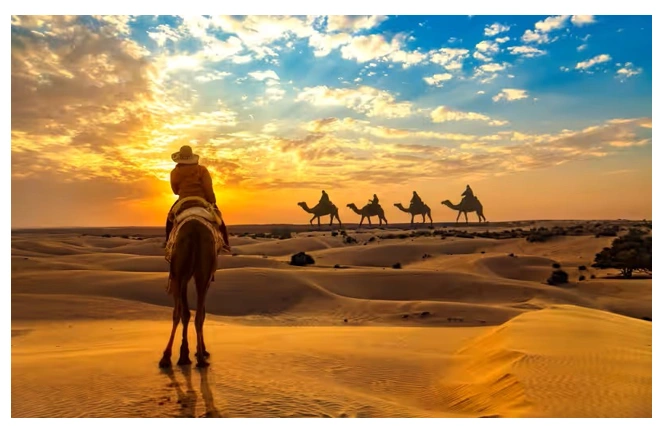 Camel safari, rajasthan