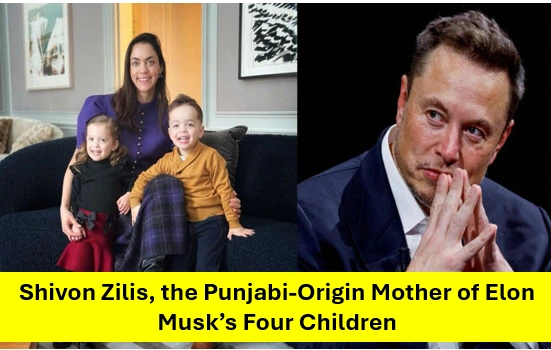 Shivon zilis, the punjabi-origin mother
