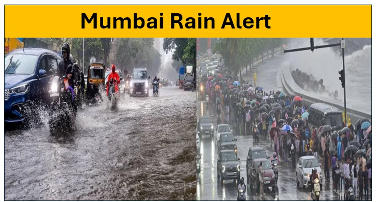 Mumbai Rain Alert: Maharashtra Issues Red Alert, 13 Dead as Train Services Disrupted